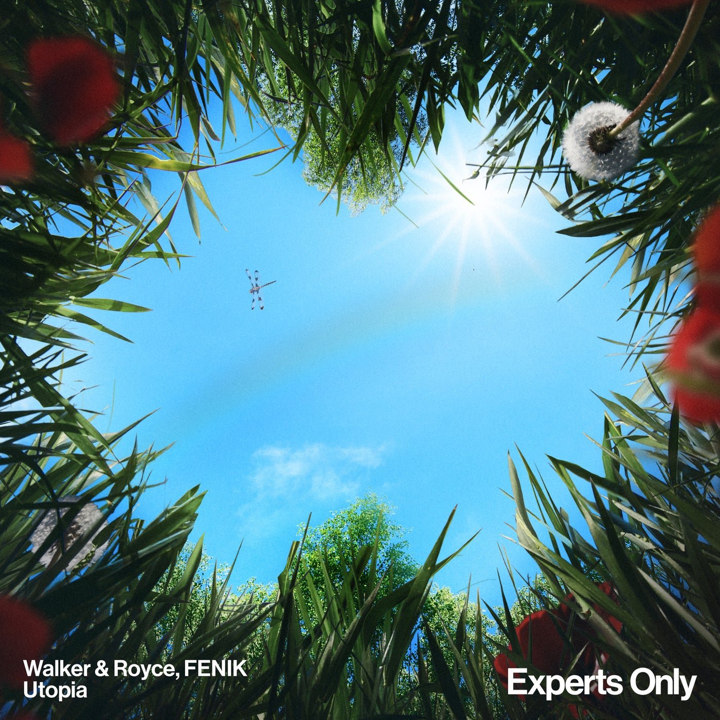 Cover - Walker & Royce, FENIK - Utopia (Extended Mix) Promo tools