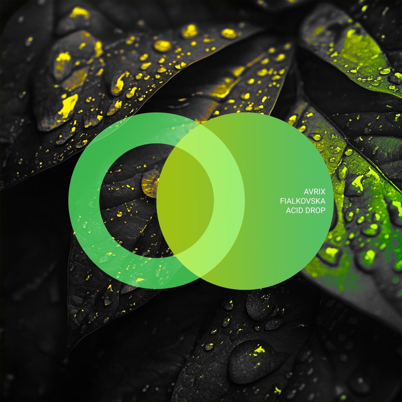 Cover - Avrix, Fialkovska - Acid Drop (Original Mix) Promo tools