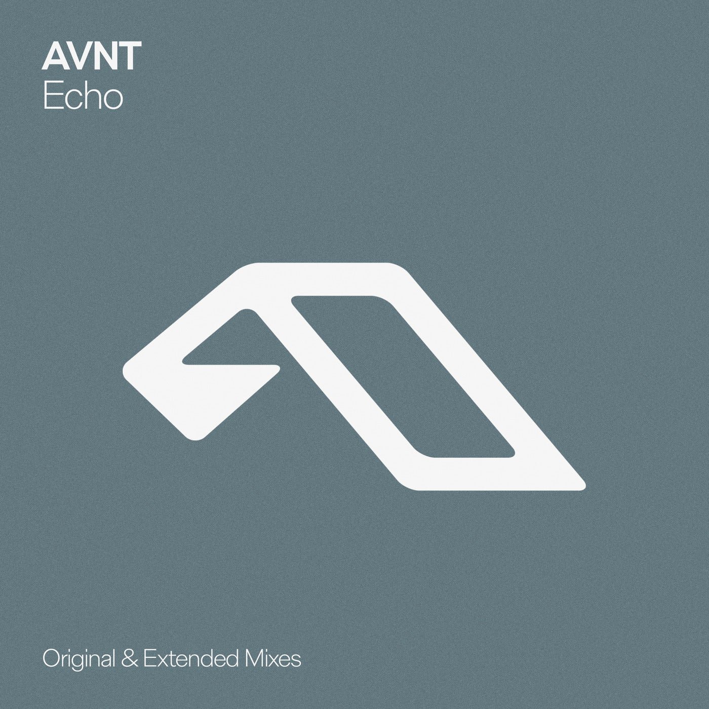 Cover - AVNT - Echo (Extended Mix) Promo tools
