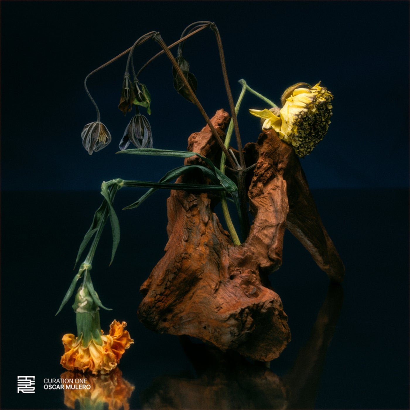Cover - Oscar Mulero, DVS1 - Reaction Pair (Original Mix) Promo tools