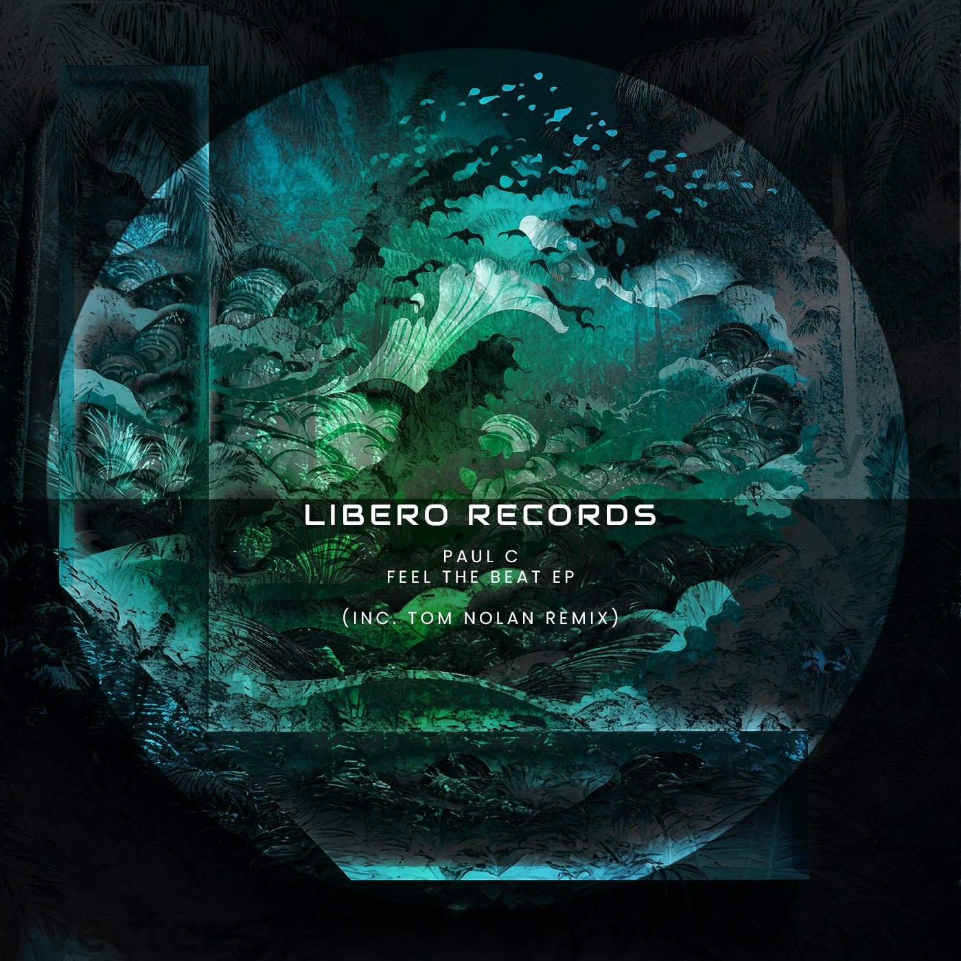 Cover - Paul C - Back A Party (Tom Nolan Remix) Promo tools