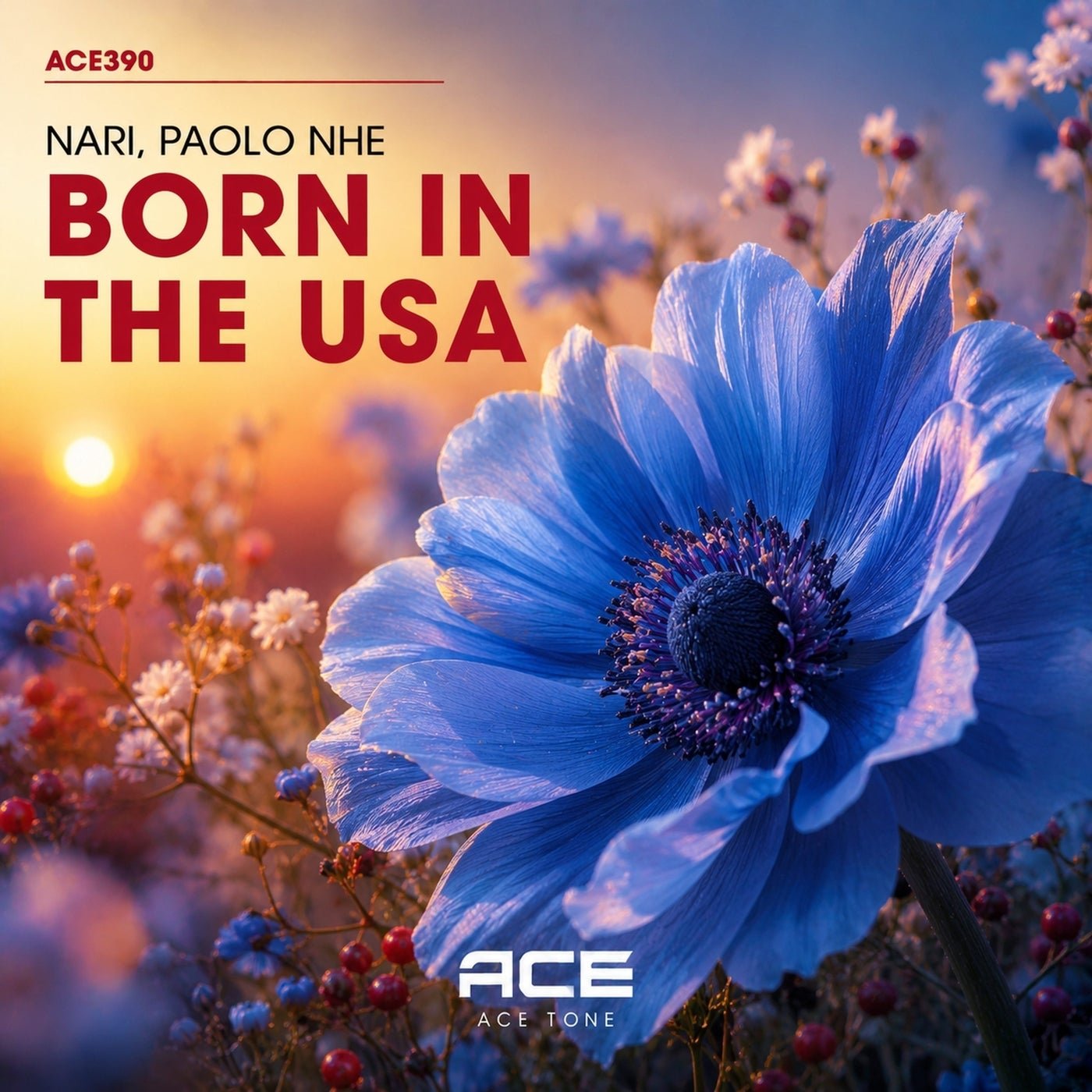 Cover - Nari, Paolo nhe - Born in the USA (Original Mix) 