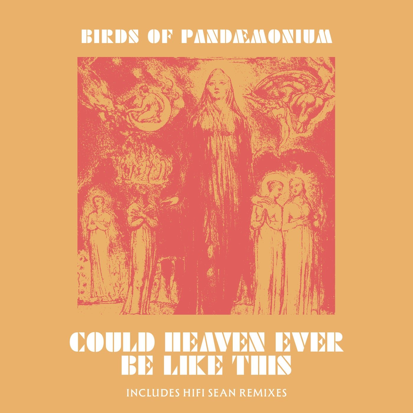 Cover - Birds Of Pandæmonium - Could Heaven Ever Be Like This (Hifi Sean Dub) 
