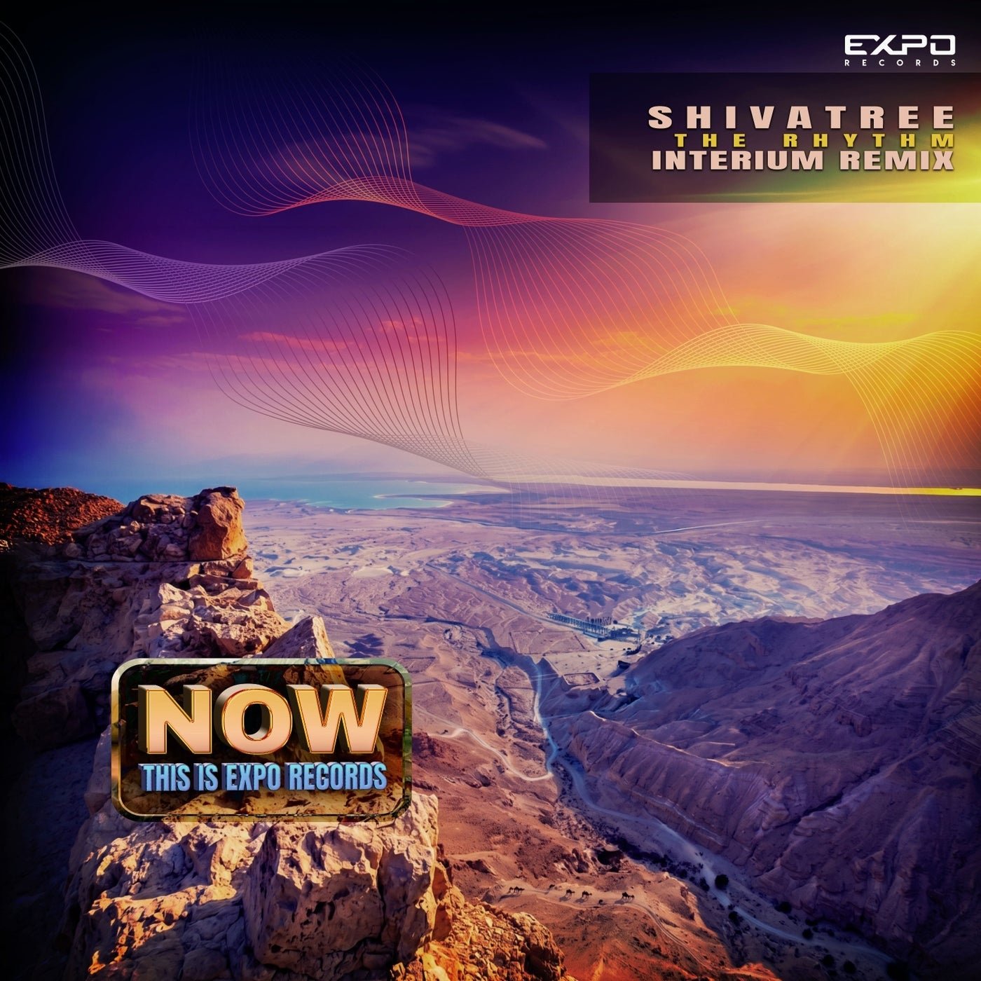 Cover - Shivatree - The Rhythm (Interium Remix)