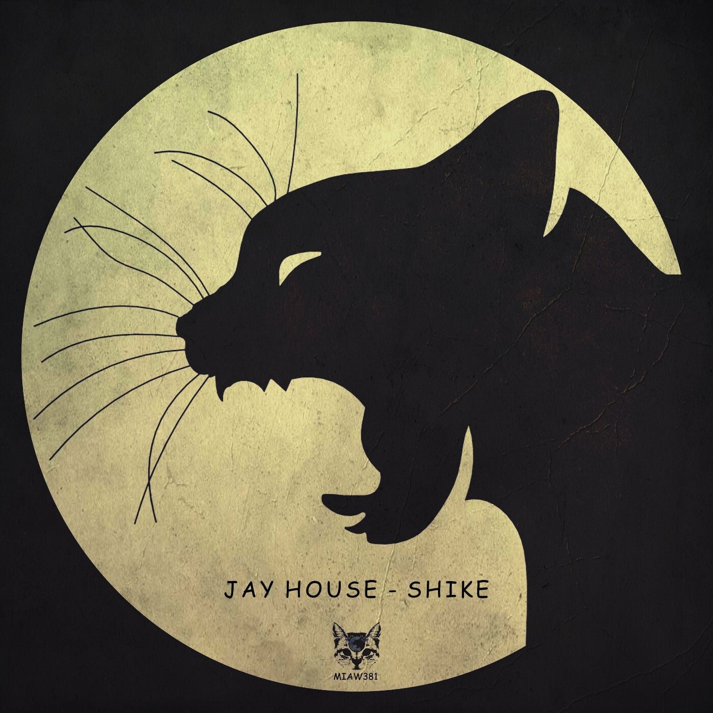 Cover - Jay House - Party En Mi Casa (Original Mix) 