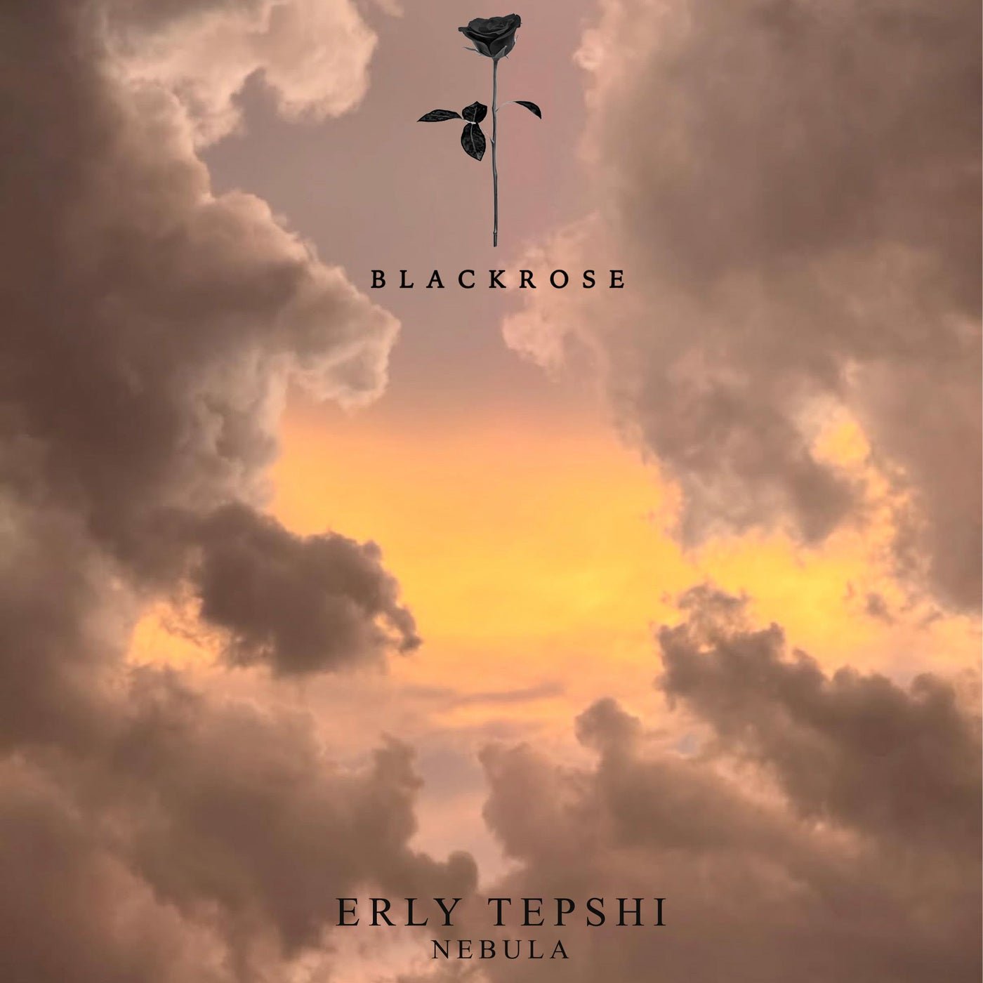 Cover - Erly Tepshi - Nebula (Original Mix)