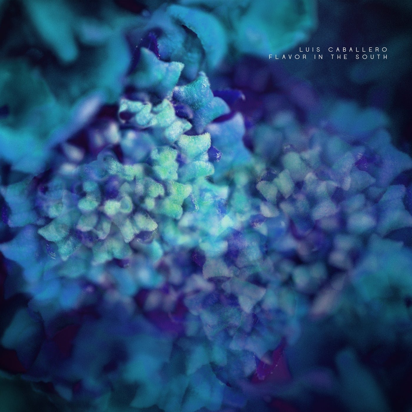 Cover - Luis Caballero - Ch4RT (Original Mix)