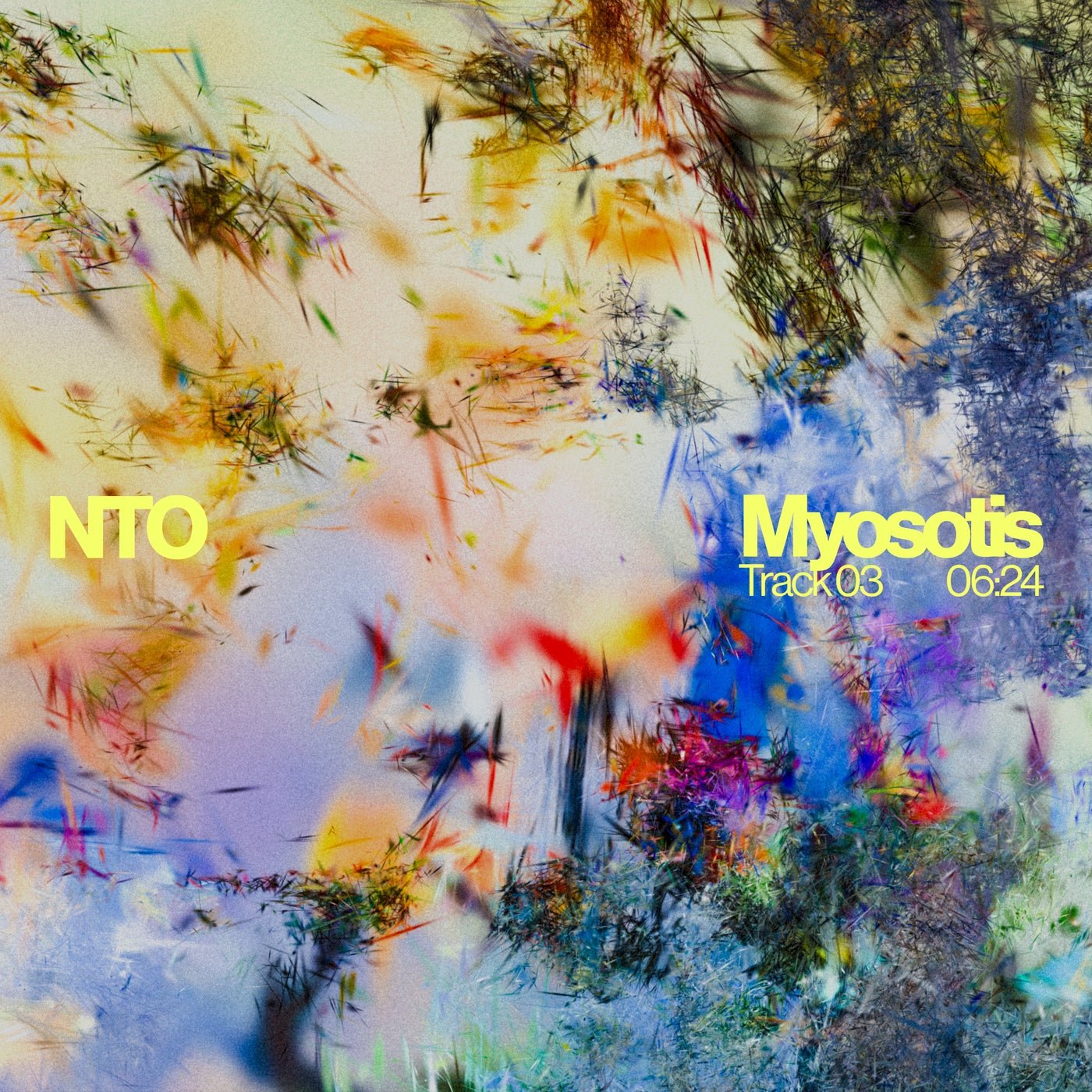 Cover - NTO (FR) - Myosotis (Original Mix)