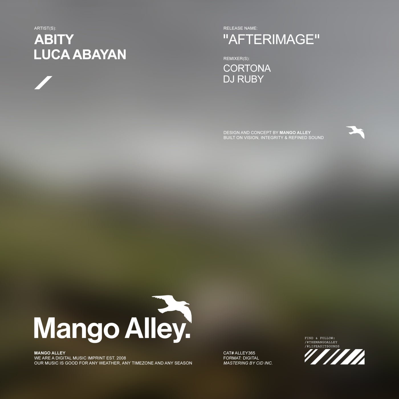 Cover - Abity, Luca Abayan - Afterimage (Alternative Mix) 