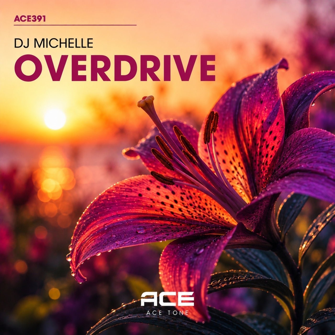 Cover - Dj Michelle (IT) - Overdrive (Original Mix) 