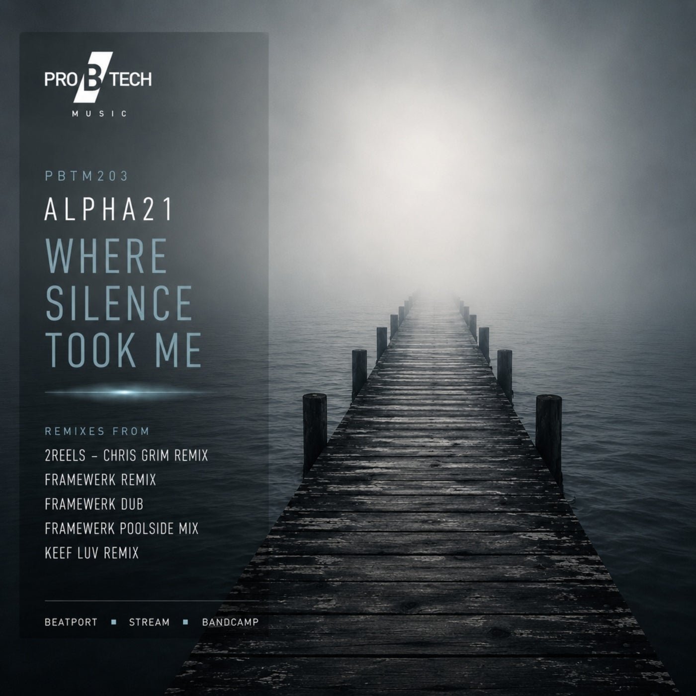 Cover - ALPHA21 - Where Silence Took Me (Original)