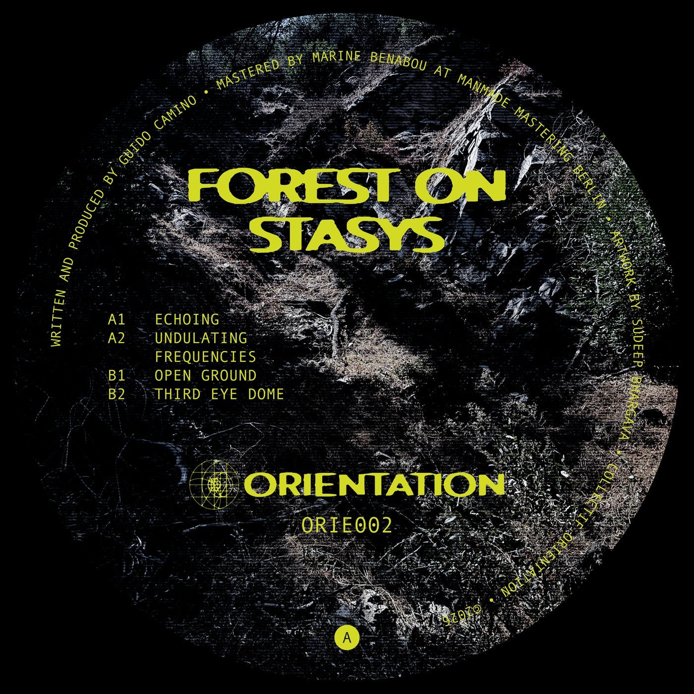 Cover - Forest On Stasys - Echoing (Original Mix) 