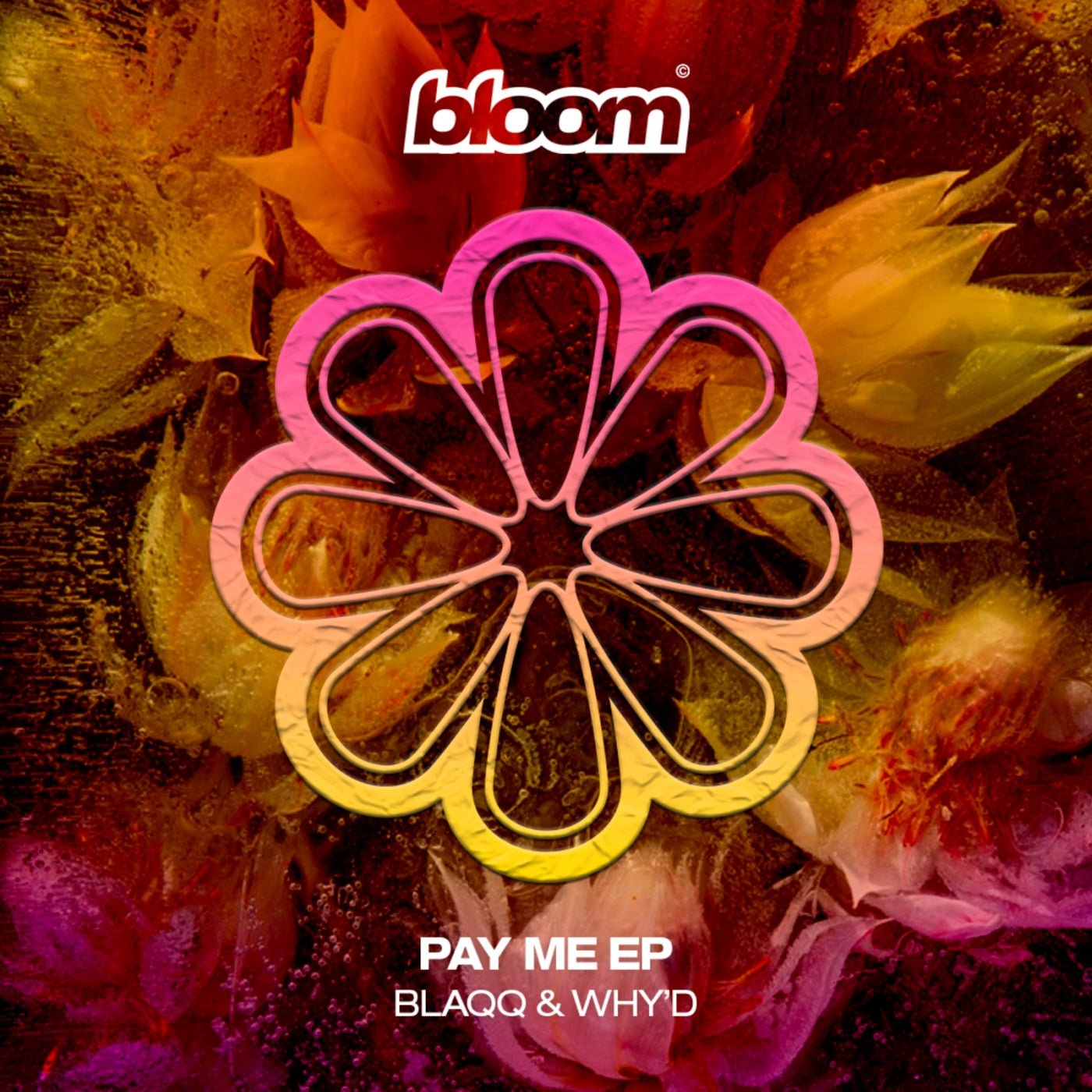 Cover - Blaqq & Why'd - Pay Me (Original Mix) 