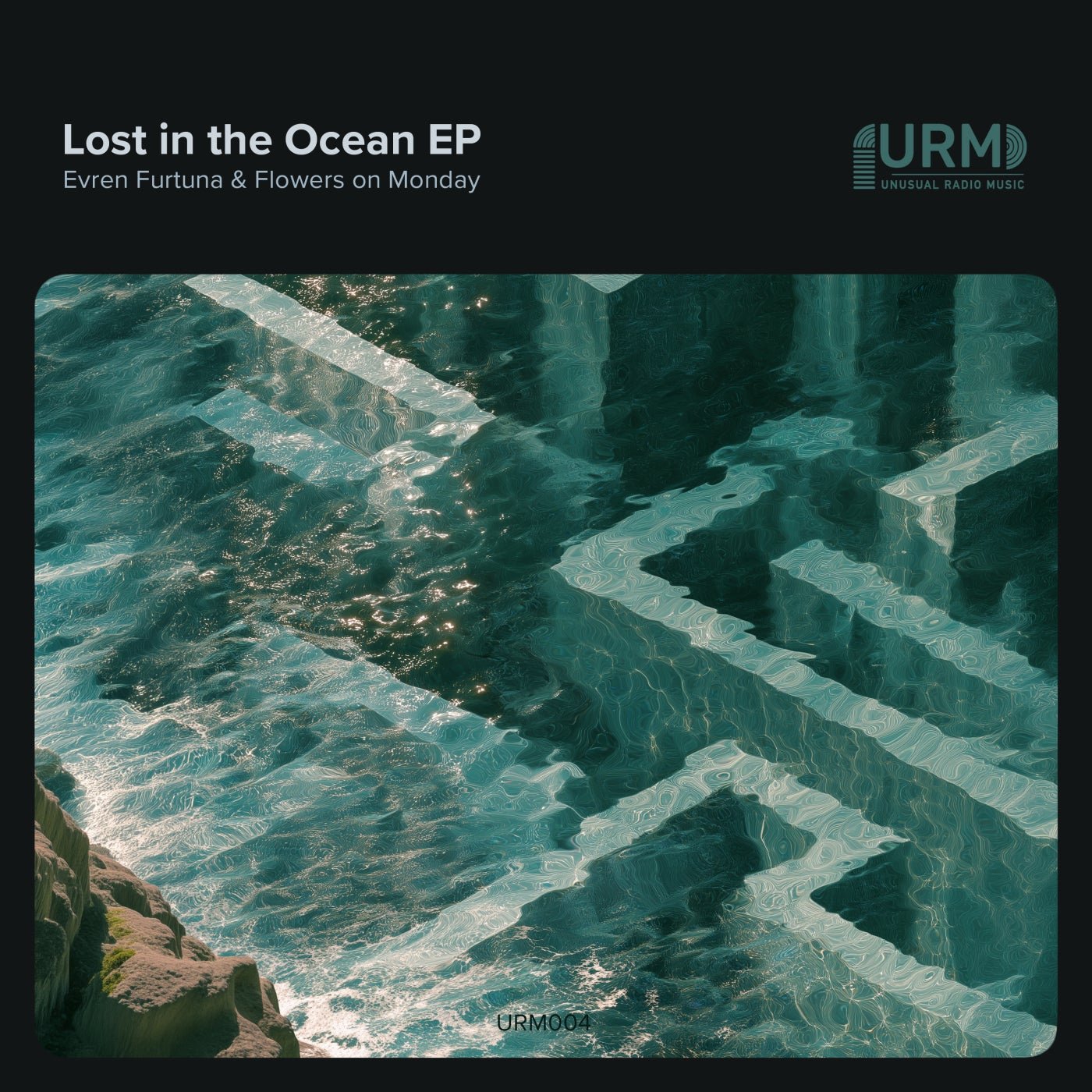 Cover - Evren Furtuna, Flowers on Monday - Driftwood Dreams (Original Mix) 