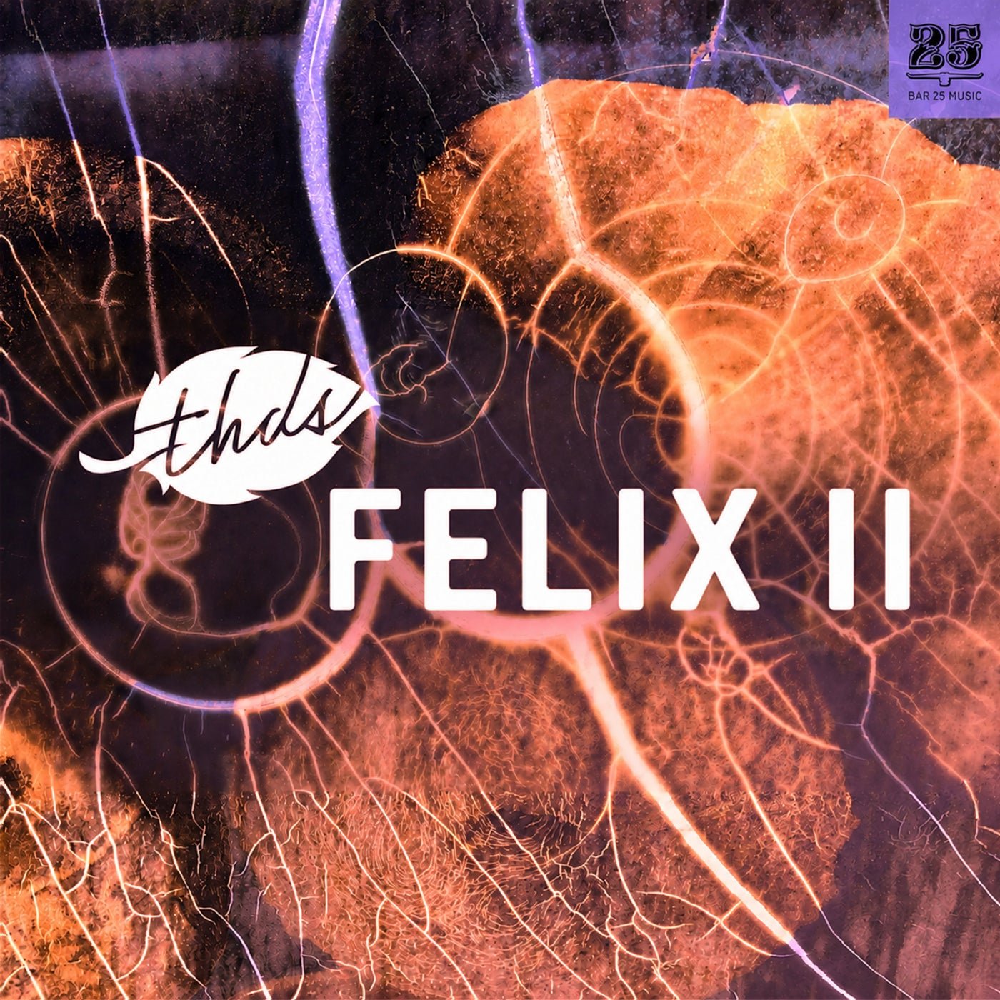 Cover - thds - Nemi (Extended Mix)