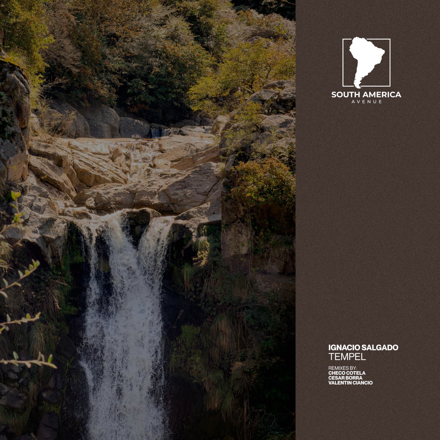 Cover - Ignacio Salgado - Tempel (Checo Cotela Remix)