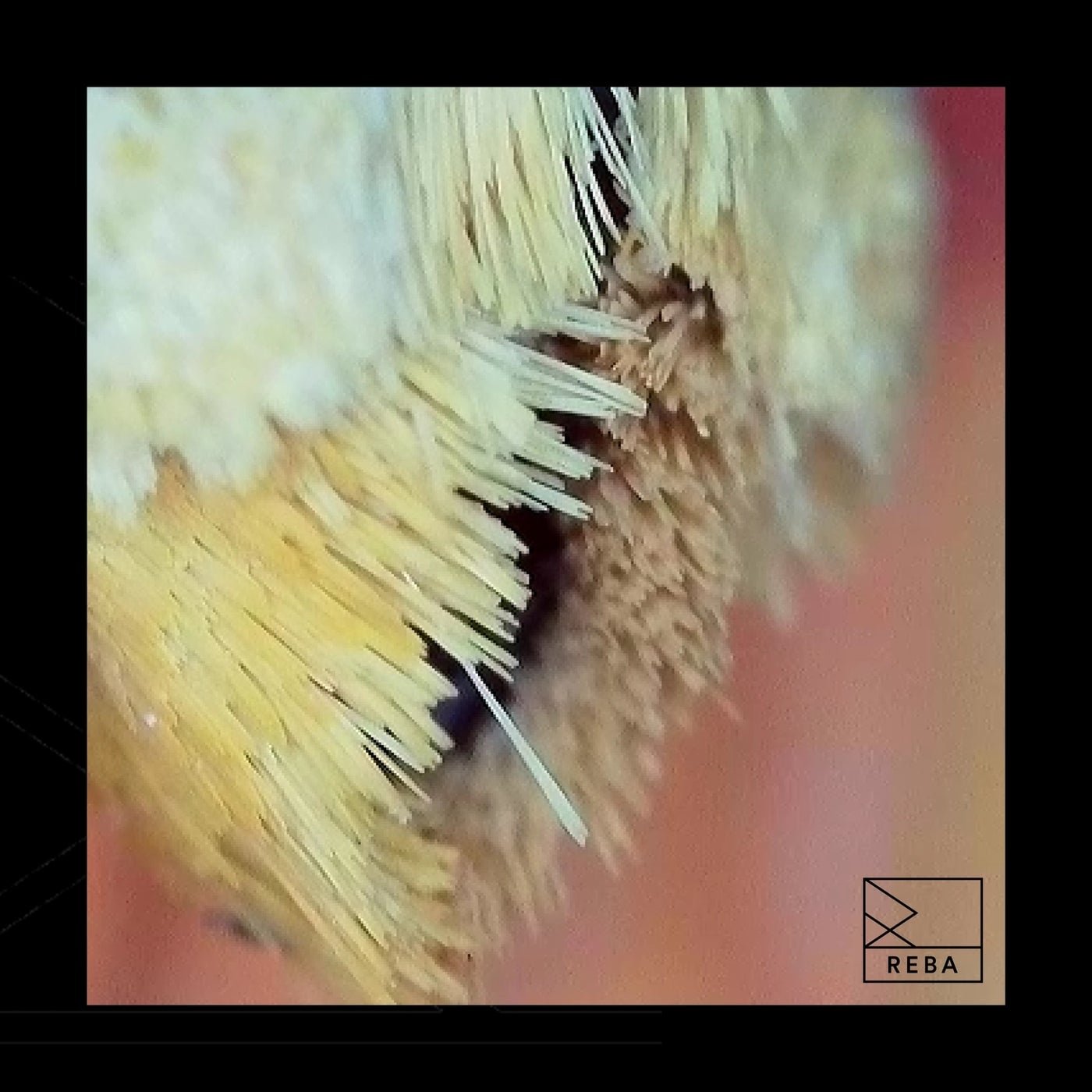 Cover - Remcord - Grappe Down (Original Mix)