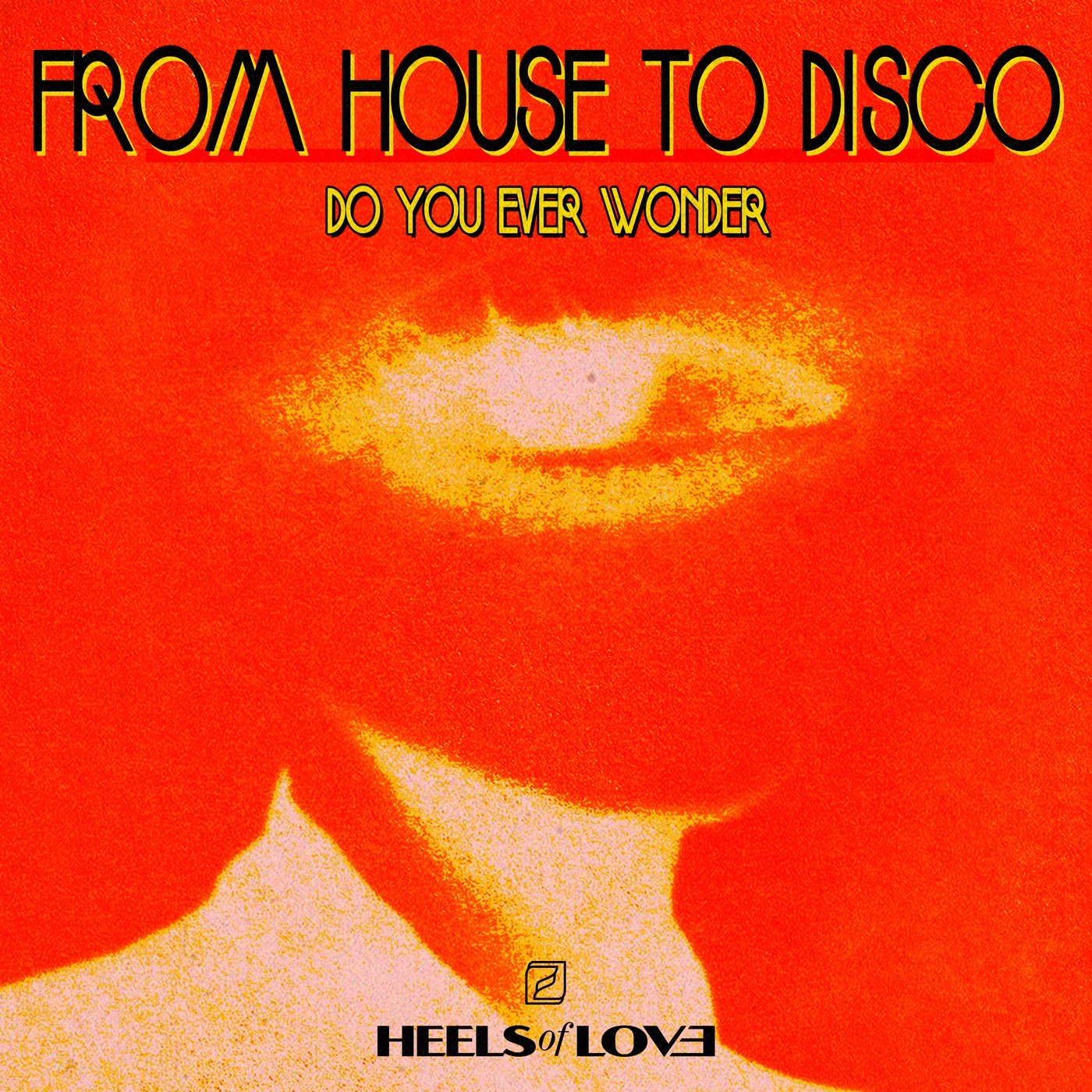 Cover - From House to Disco - Night Frequency (Original Mix)