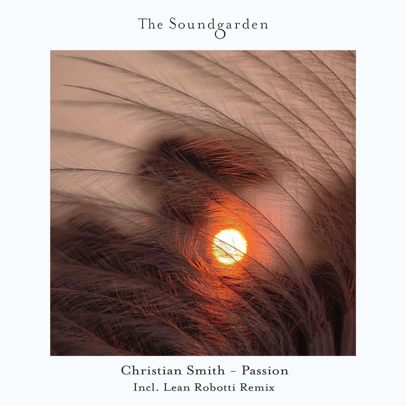 Cover - Christian Smith - Passion (Lean Robotti Extended Remix)