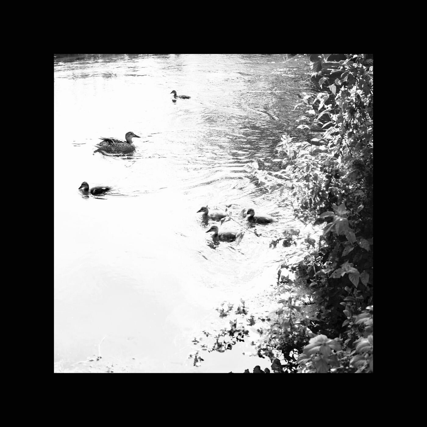 Cover - Maeksll - Vulnerability (Original Mix)