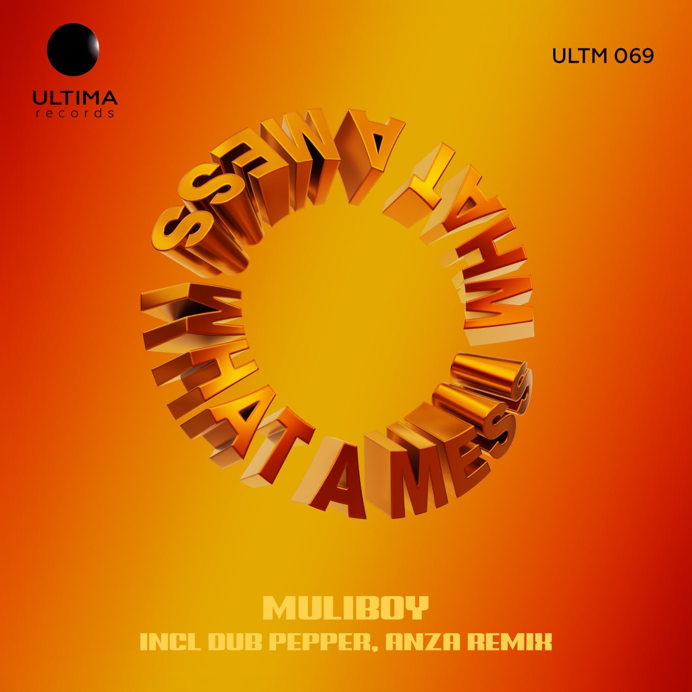 Cover - MULIBOY - What a Mess (Dub Pepper, Anza Remix) 