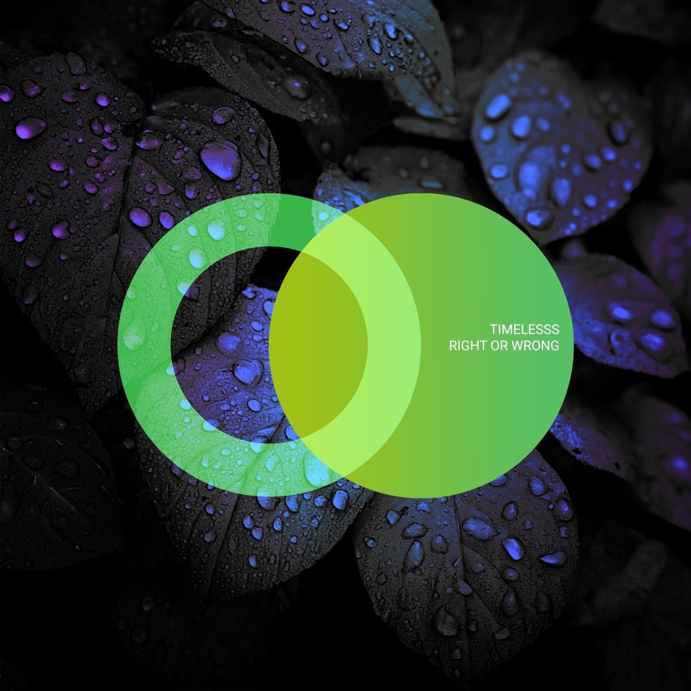 Cover - Timelesss - Right or Wrong (Original Mix) 