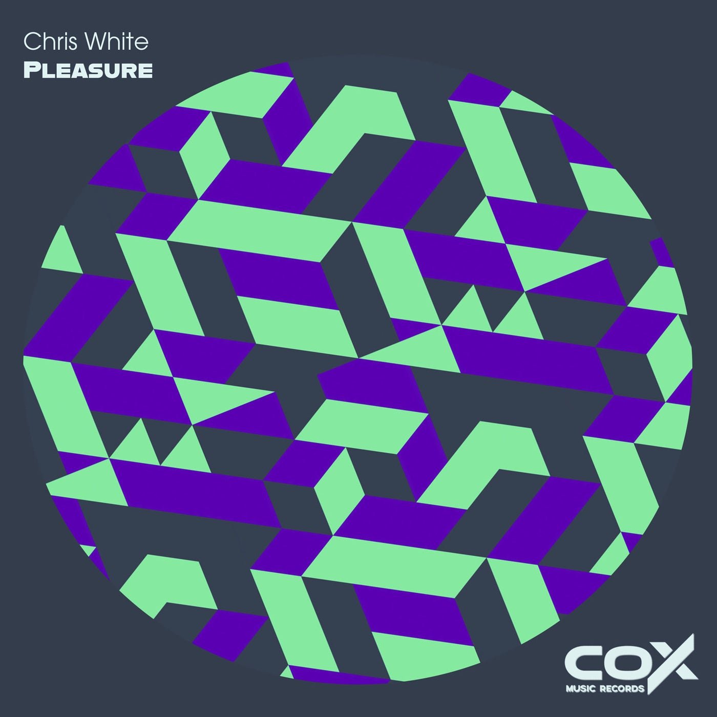 Cover - Chris White - Pleasure (Original Mix) 