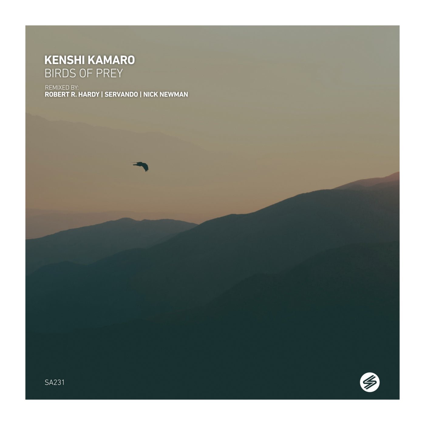 Cover - Kenshi Kamaro - Birds of Prey (Robert R. Hardy Remix) 