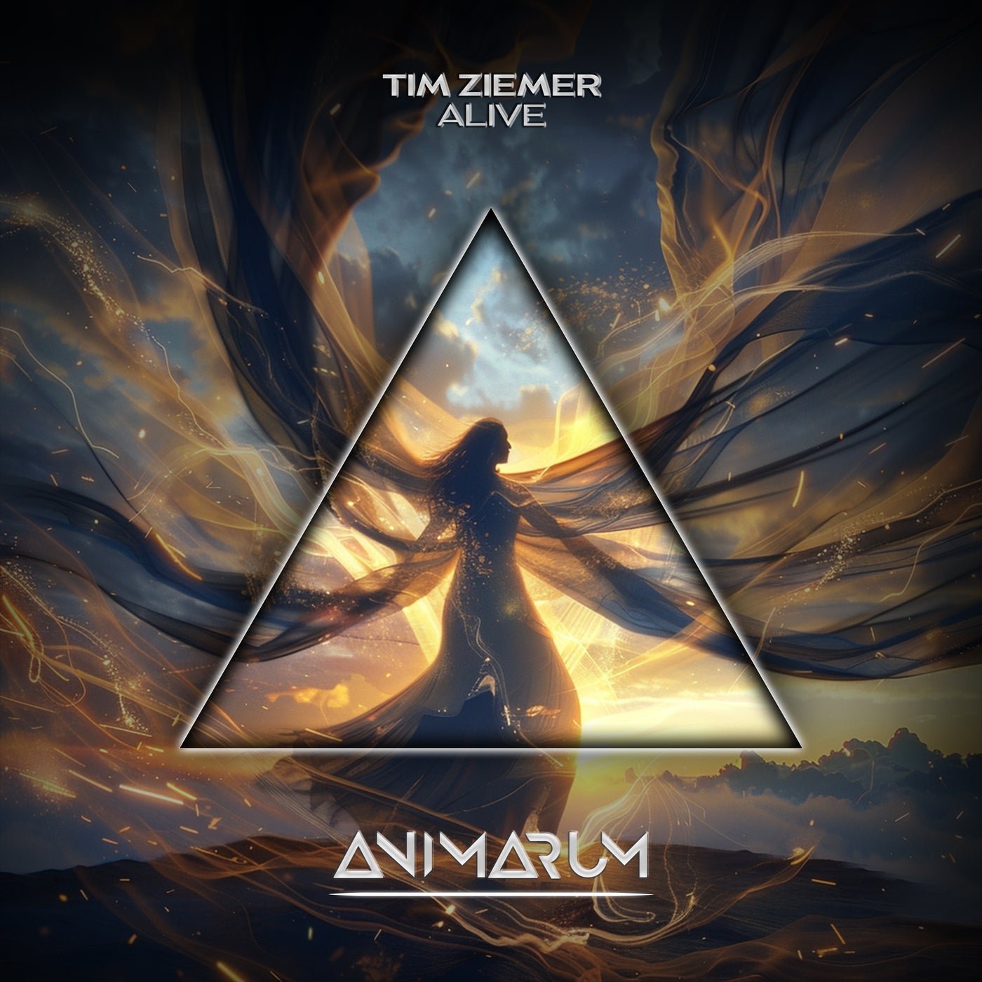 Cover - Tim Ziemer - Alive (Extended Mix) 
