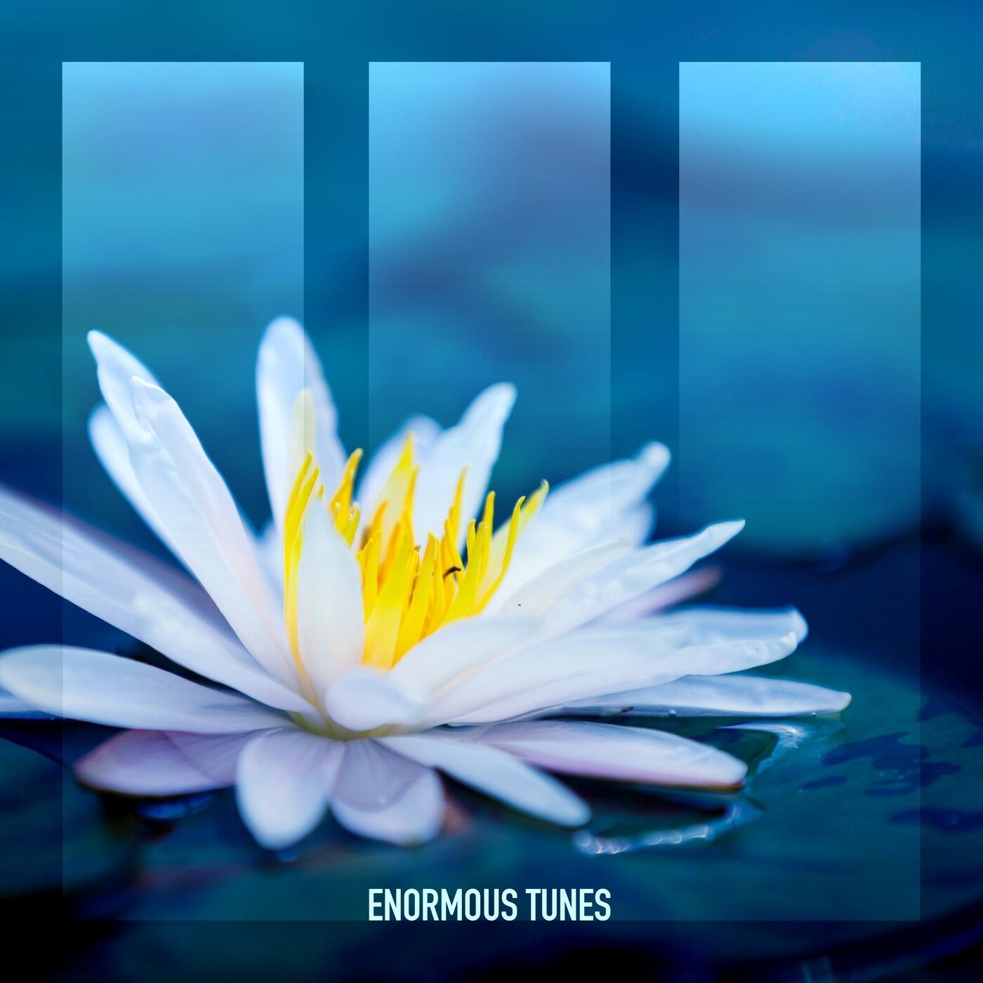 Cover - Daniel Portman - White Lotus (Extended Mix)