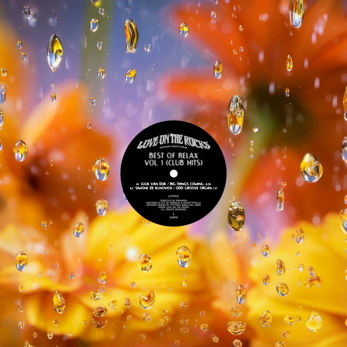 Cover - PARAMIDA - You Freakz (Original Mix) 