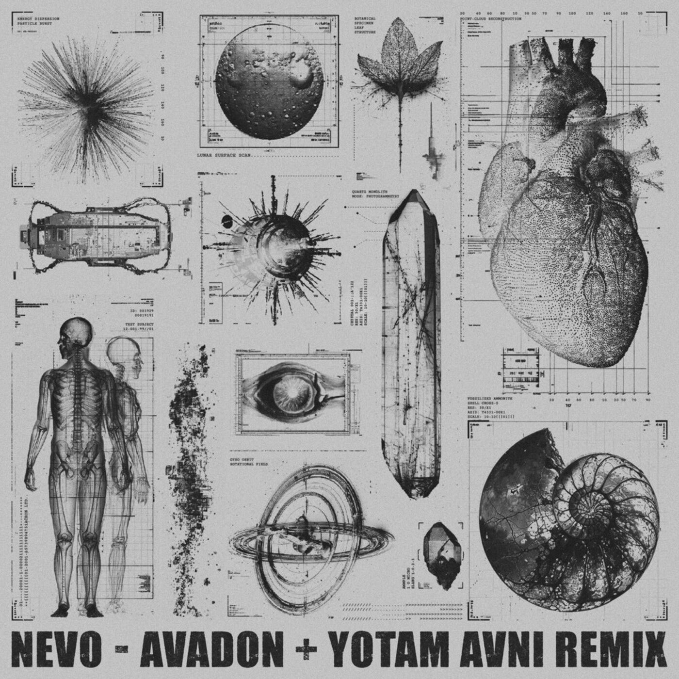 Cover - Nevo - Avadon (Yotam Avni Remix) 