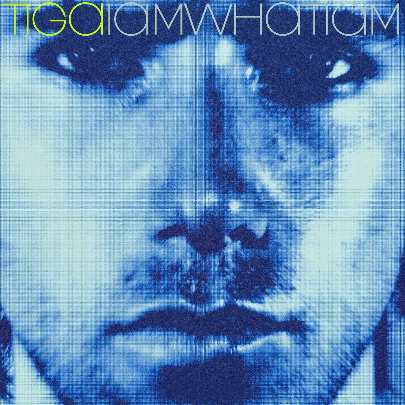 Cover - Tiga, MRD - IAMWHATIAM (Tensal Remix)