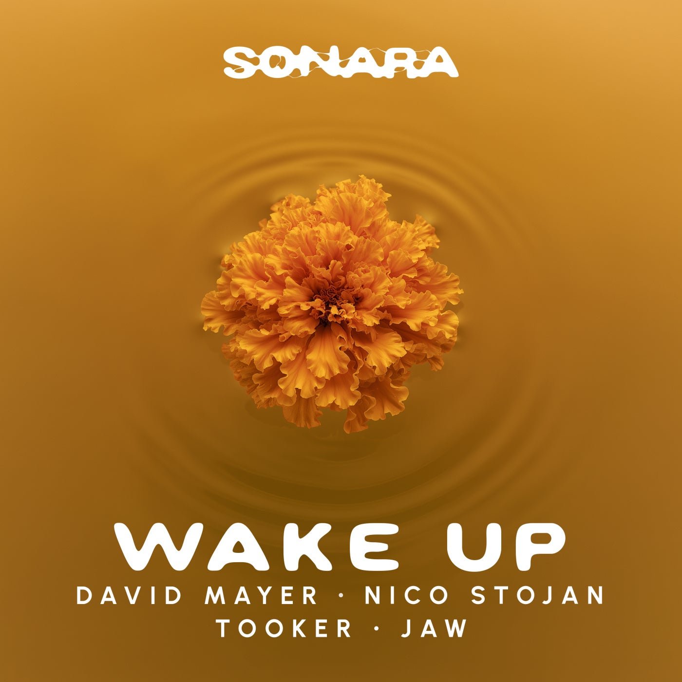 Cover - David Mayer, Nico Stojan, Jaw, Tooker - Wake Up feat. JAW (Extended Mix)