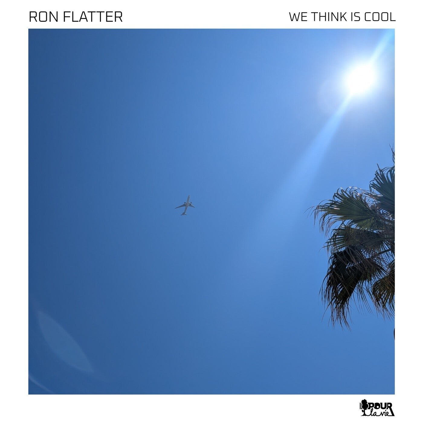 Cover - Ron Flatter - We Think Is Cool (Extended Mix)