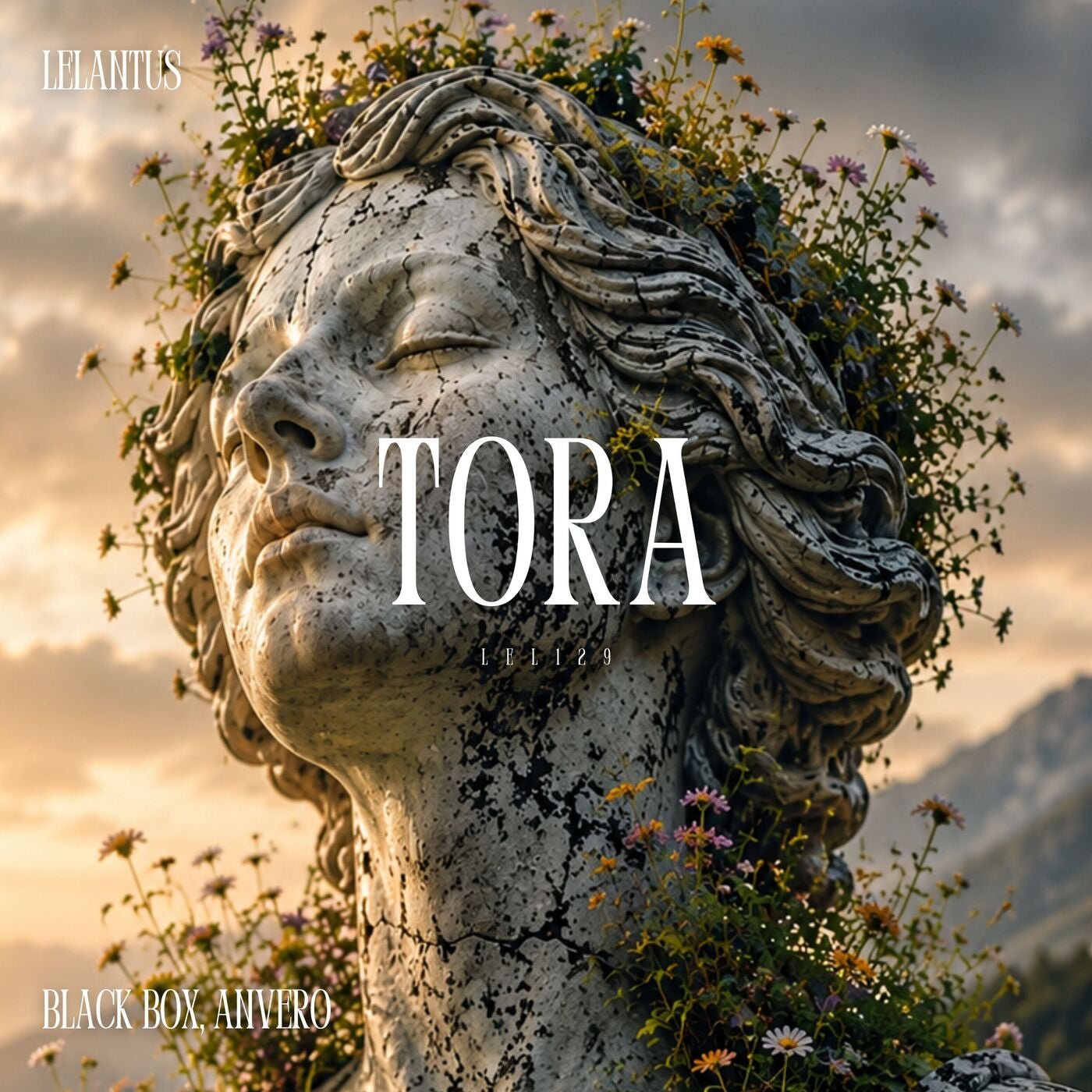 Cover - Anvero, Black Box (DE) - Tora (Original Mix)