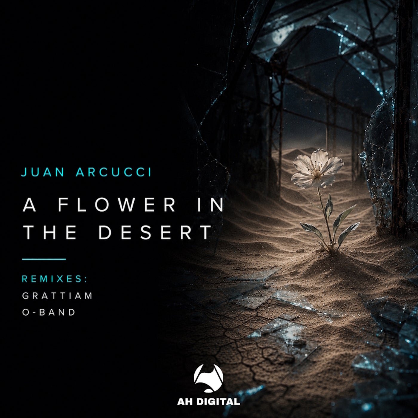 Cover - Juan Arcucci - A Flower in the Desert (Original Mix)