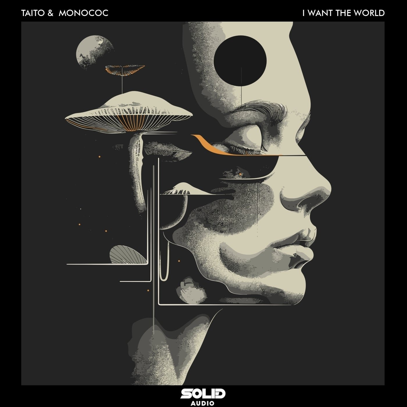 Cover - Taito, Monococ - I Want the World (Original Mix)