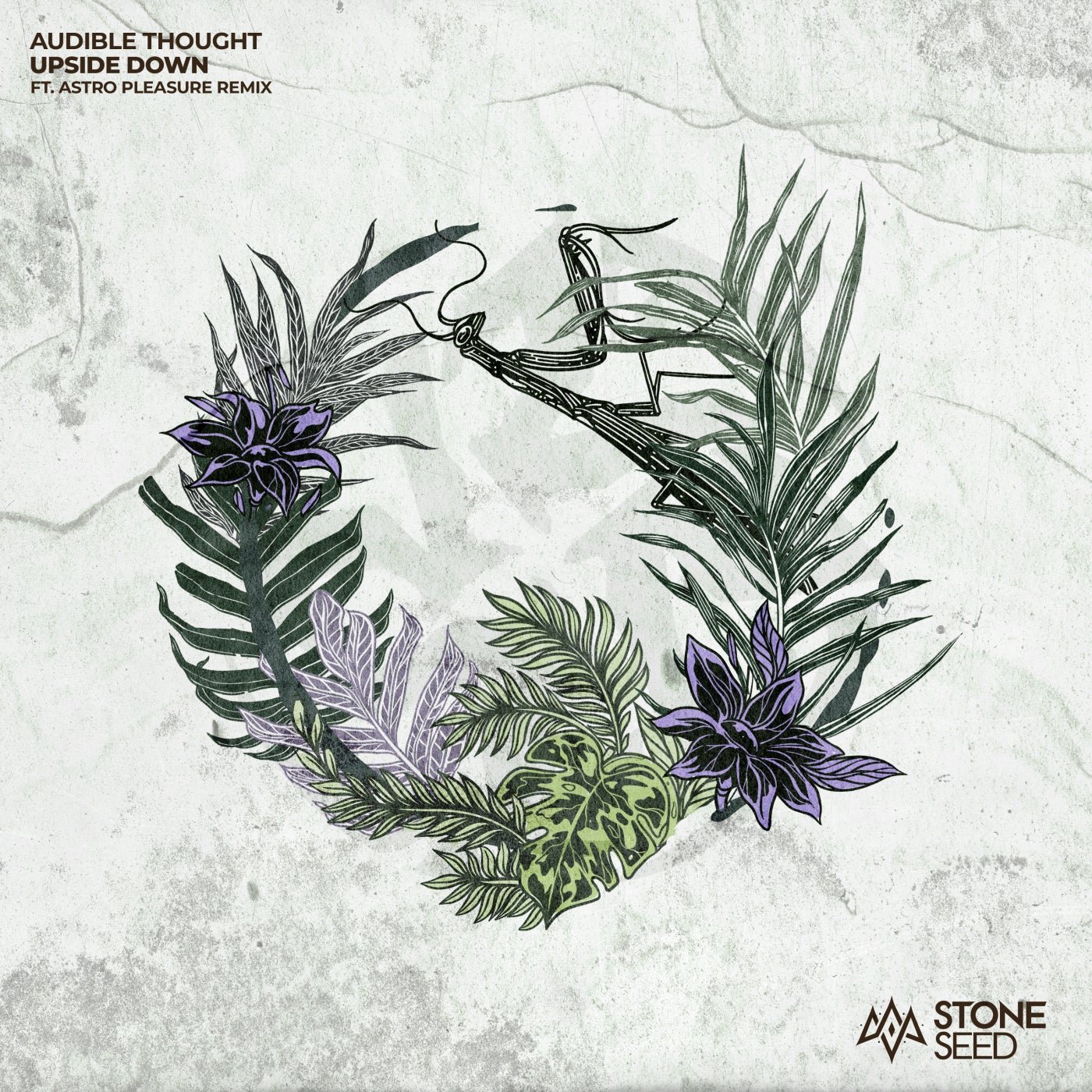 Cover - Audible Thought - Upside Down (Original Mix)