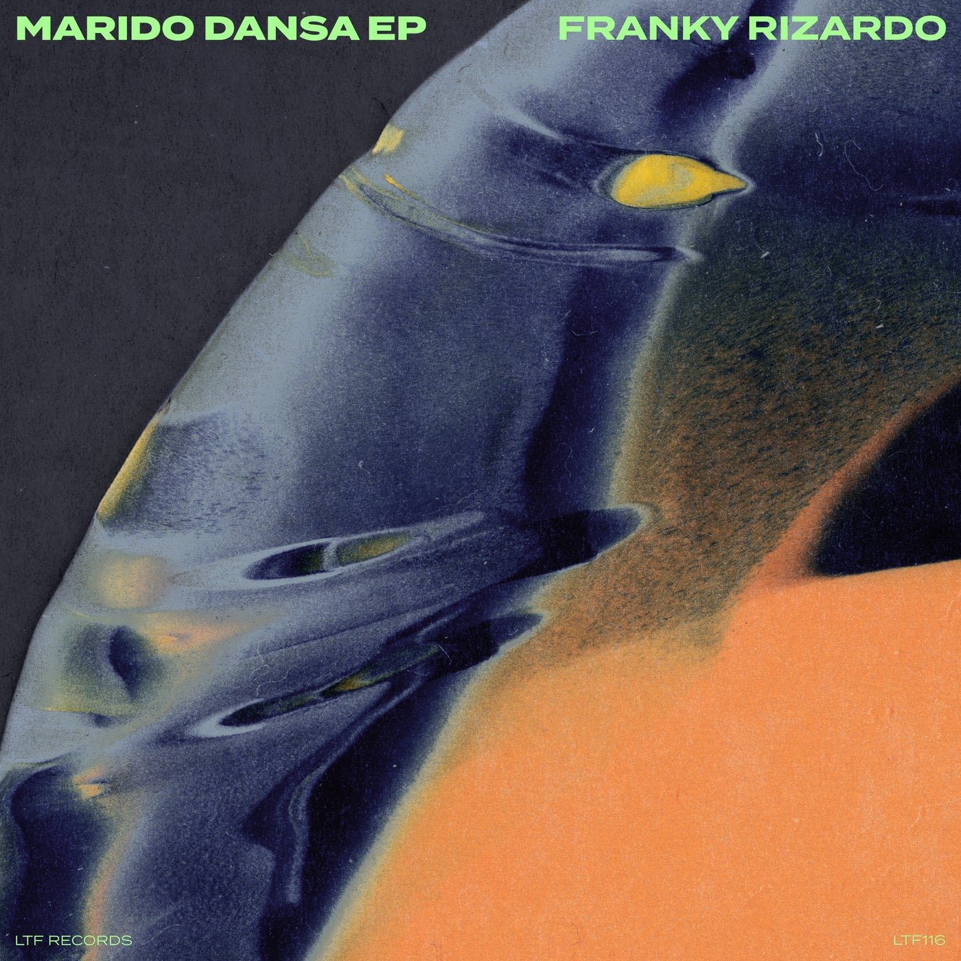 Cover - Franky Rizardo, Valeria Vix - Viciosa (Rework) (Extended Mix) 